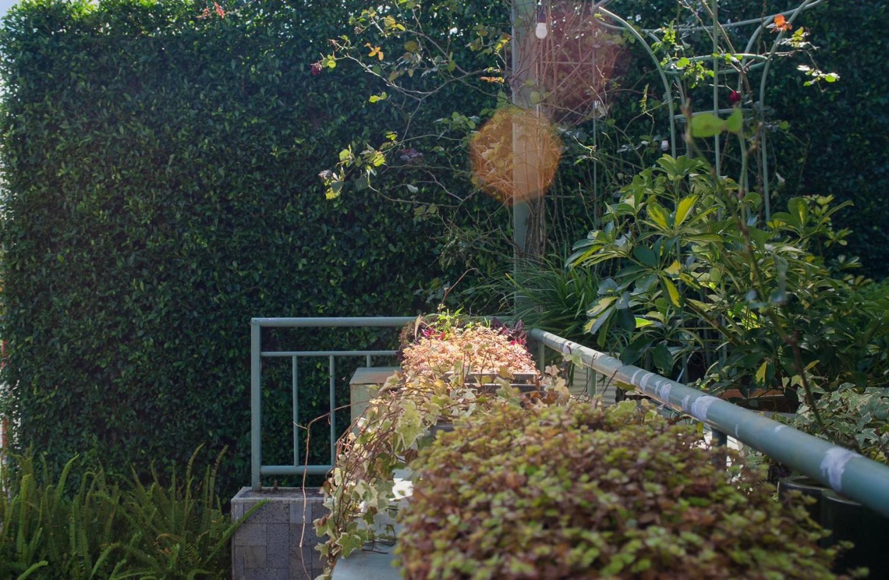 Le Soleil Boutique Hotel Dalat Eksteriør bilde