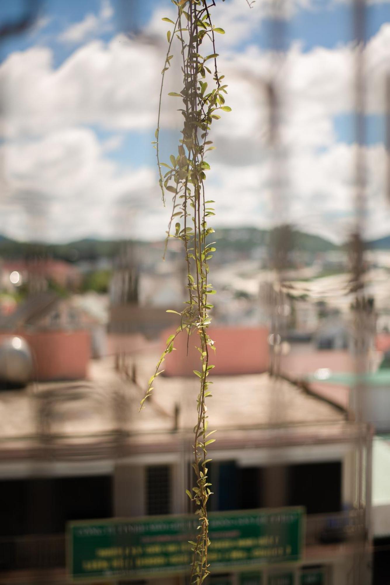 Le Soleil Boutique Hotel Dalat Eksteriør bilde