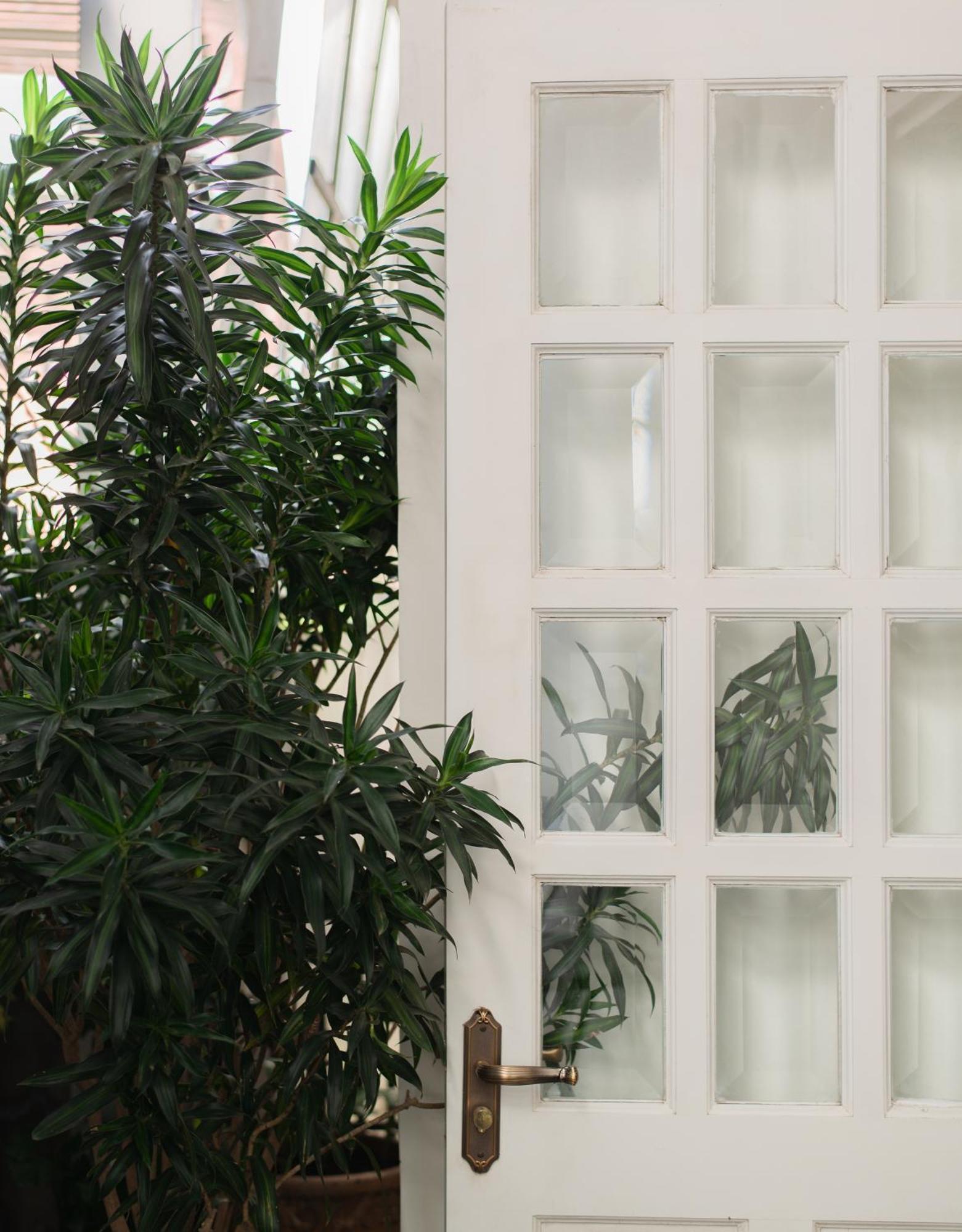 Le Soleil Boutique Hotel Dalat Eksteriør bilde